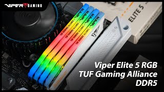 Unstoppable Speed Viper Elite 5 RGB TUF Gaming Alliance DDR5 High-Performance Memory | Patriot Viper