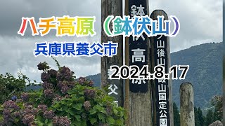 ハチ高原（鉢伏山）兵庫県養父市