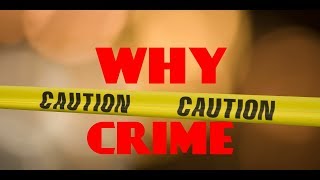 Crime Rates Explained (vodcast)