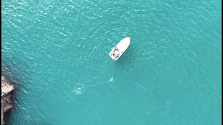 Netting from a Small Boat - Rare Catch