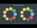 CODE - DNA sonification