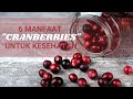 6 MANFAAT CRANBERRIES UNTUK KESEHATAN | Warta Meridian #11