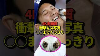 【4K】大谷翔平と愛犬デコピンの4K超高画質画像をMLB公式Xが投稿！肉球までくっきり写っててファンが喜んでいると話題に！#shorts #大谷翔平 #野球