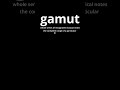 Video Word Of The Day - Gamut