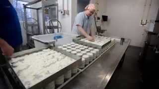 Behind the scenes in the cheese-room at Goat Lady Dairy.