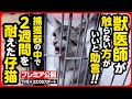 【子猫保護】野良猫は触らない方がいい...？「野良猫」も「家猫」も同じ命です