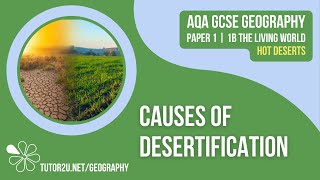 Causes of Desertification | AQA GCSE Geography | Hot Deserts 8