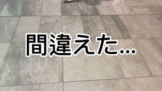 [今年\u0026実写初]とりあえずインフル治ったからお台場行く動画