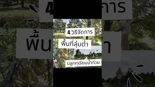 4 วิธีจัดการ พื้นที่ลุ่มต่ำ ปลูกทุเรียนโดนน้ำท่วม เงินทุนน้อย