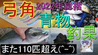 弓角で釣れた青物！総括2022年版！！自作した弓角で釣れた青物は、自分とゲスト様５名の合計で今回も110匹を超えました(^^).2023,1,1公開