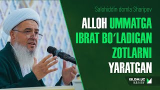 Alloh ummatga ibrat boʻladigan zotlarni yaratgan | Salohiddin domla Sharipov