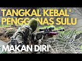 TANGKAL KEBAL