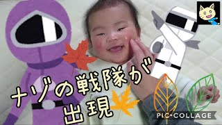 【生後４ヶ月】これをみたら癒される動画【検証動画】