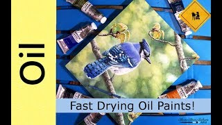 Fast Drying Oil Paints + Blue Jay in Oils Demo