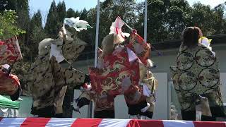 佐伯市本匠菜の花まつり宇目神楽貴見城