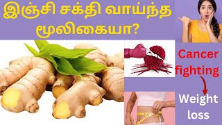 Is Ginger (இஞ்சி) A powerful Natural remedy?| இஞ்சி நன்மைகள் |Informative Thoughts Tamil