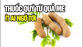 Quả me kết hợp với thứ này, sẽ thành thuốc quý rẻ tiền chữa nhiều bệnh | Cuộc Sống Hạnh Phúc