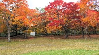 北海道鹿追町 然別峡 福原山荘の紅葉 2015/10/09