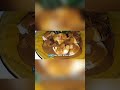 PART 3 Pisang gapit saus nangka cemilan Kalimantan #fypシ゚viral #vidioviral #pisanggapit #masak