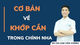 Cơ Bản Về Khớp Cắn Trong Chỉnh Nha