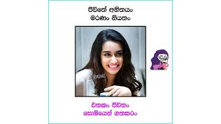 ආතල් පෝස්ට් Collection 6