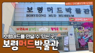 보령시SNS홍보요원 |  보령머드를 만날 수 있는 곳, 보령머드박물관