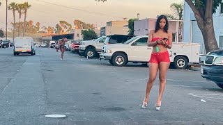 Dalbergia Street , San Diego