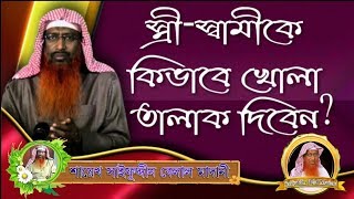 স্ত্রী স্বামীকে কিভাবে খোলা তালাক দিবেন ᴴᴰ┇শায়েখ সাইফুদ্দীন বেলাল মাদানী