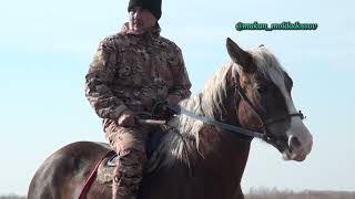 Сапарбековтер әулеті Рахман аксакалдын 83 жасына арналган елден бата алу кокпары 18 12 2021 Көкпар