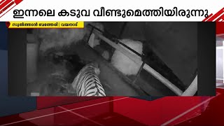 സുൽത്താൻ ബത്തേരിയിൽ കടുവയെ പിടികൂടാൻ കൂട് സ്ഥാപിച്ചു | Tiger | Wild Animal | Wayanad