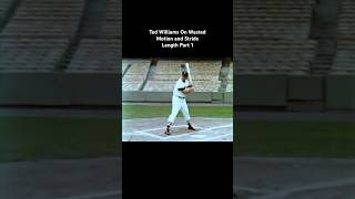 The Hitting Clinic with Chris Waye | Ted Williams on Wasted Motion and Stride Length Part 1