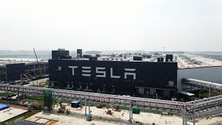 Official Tesla Stock Split Date!