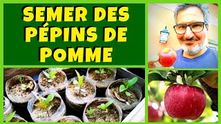 Semer des pépins de pommes en bouteille 🍏🍎 (en faisant un gâteau aux pommes !) 🎂