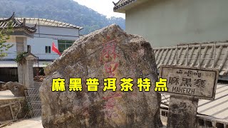 易武麻黑普洱茶口感特点介绍