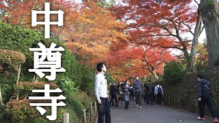 【岩手県】中尊寺の紅葉と菊祭りは美しいけど三密に注意すべし