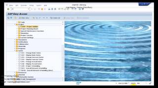 SAP S4 HANA Simple Logistic