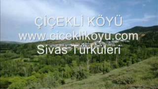 Bir arzuhal yazdım.wmv