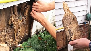Bootlegger’s Whisky Stash Found by Couple Renovating House
