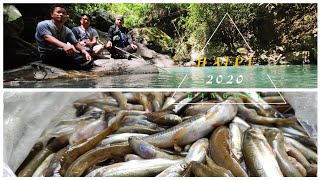 Haipi Ganggol River Fishing