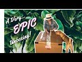 A Very EPIC Unboxing | HUGE VAREIGATED AROIDS