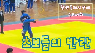 초보들의 반란 - (창원특례시장배/경남도대회) #judohighlights