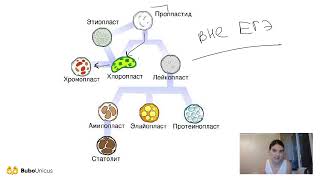 Теория Симбиогенеза | БИОЛОГИЯ ЕГЭ 2021