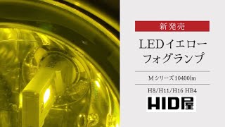 HID屋 Mシリーズ イエローフォグ