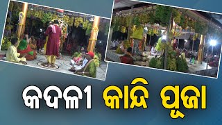 କଦଳୀ କାନ୍ଦି ପୂଜା  | Odisha Reporter