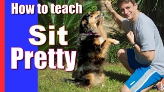 Dog Trick! How to Train Your Dog to Sit Pretty!