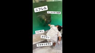 【双子とお出かけ】3歳双子と動物園！ #Shorts