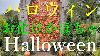 驚異 大船フラワーセンター ハロウィンのお化けかぼちゃ 2023 4k Kamakura Halloween Jumbo Pumpkin festival japan