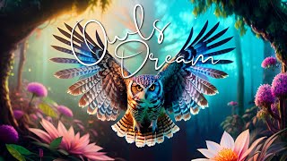"Owl's Dream" - Magical Healing Ambience | Soothing Relaxing Meditation
