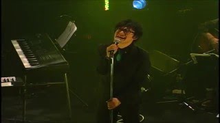 新谷隼平「ありふれたころ」LIVE