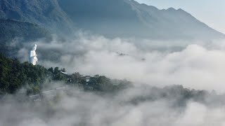 慈山寺 (雲海) Tsz Shan Monastery | DJI Mini 2 (4K)